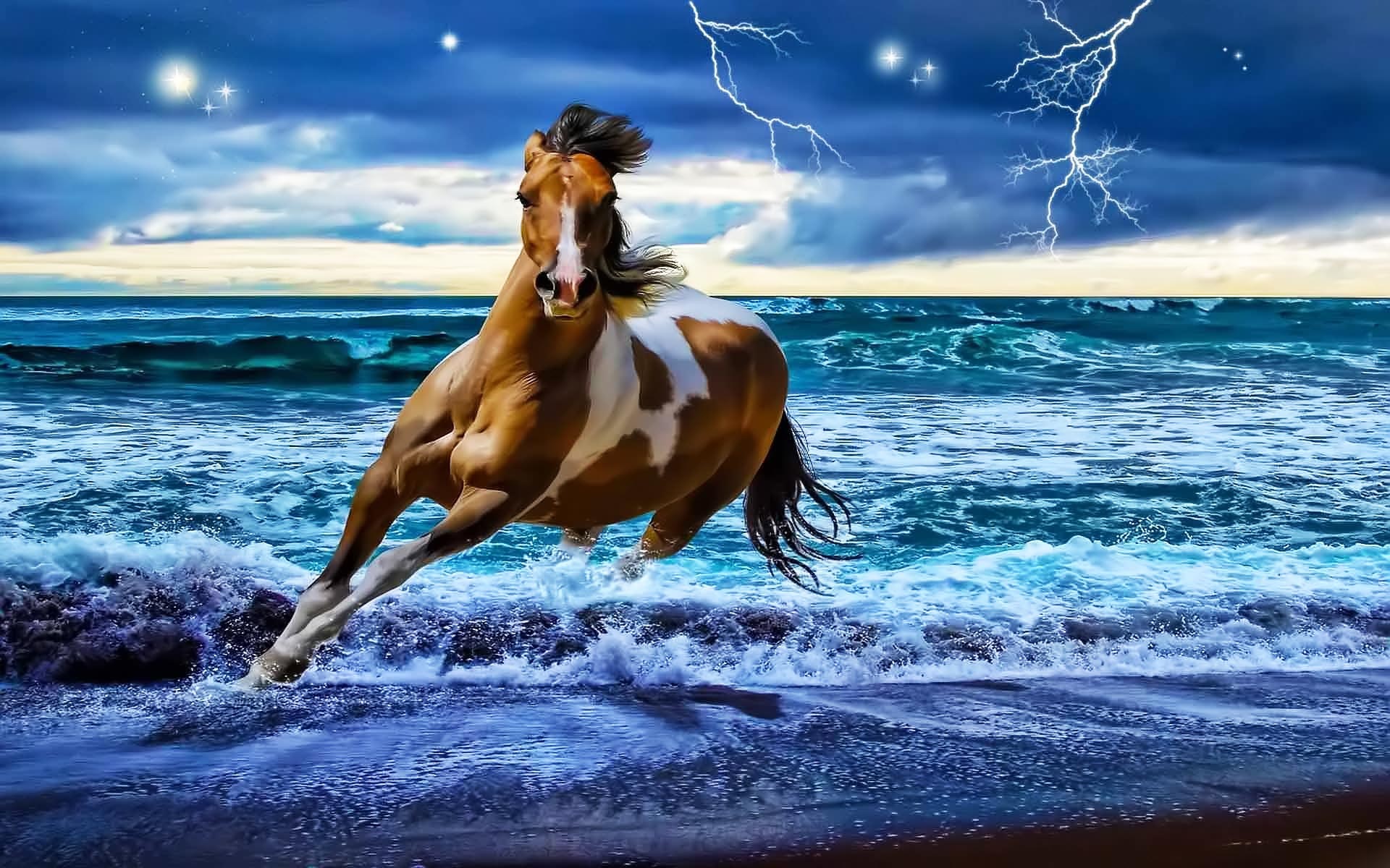Fantastic Horse Puter Background S