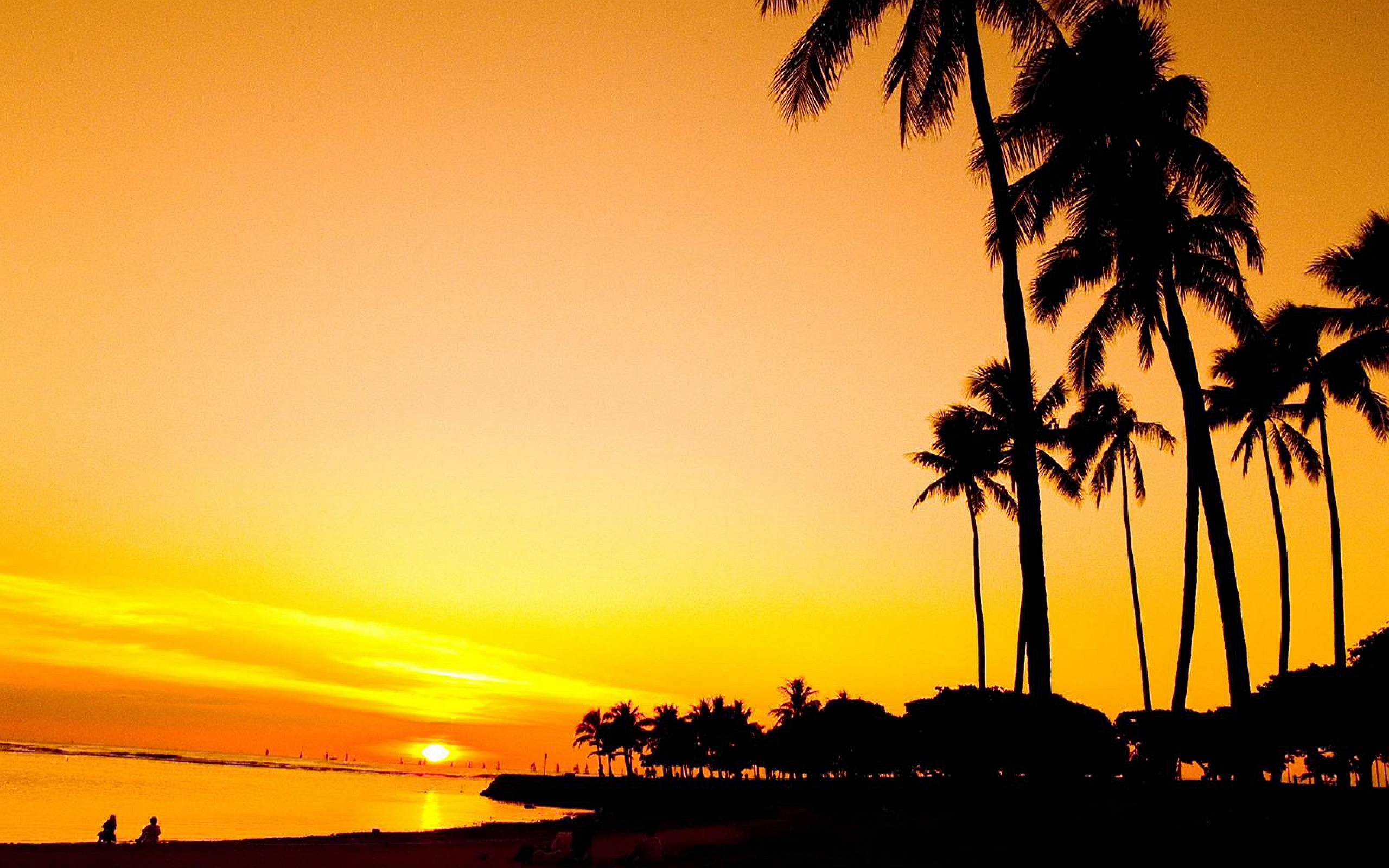 Sunset Palm Beach Wallpaper