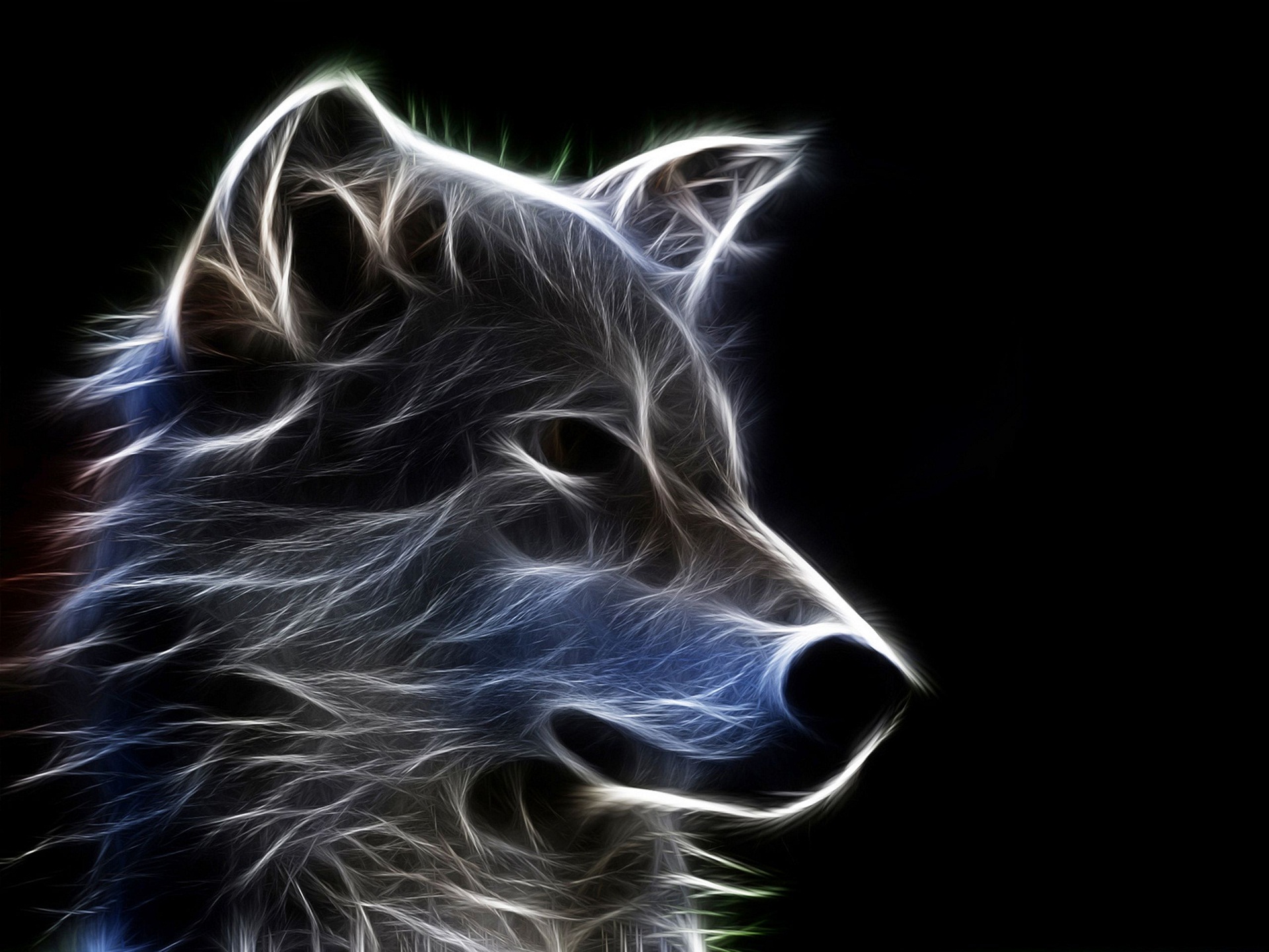Abstract 3D rendering of a wolf's head against a black background, creating a striking visual effect suitable for a desktop wallpaper