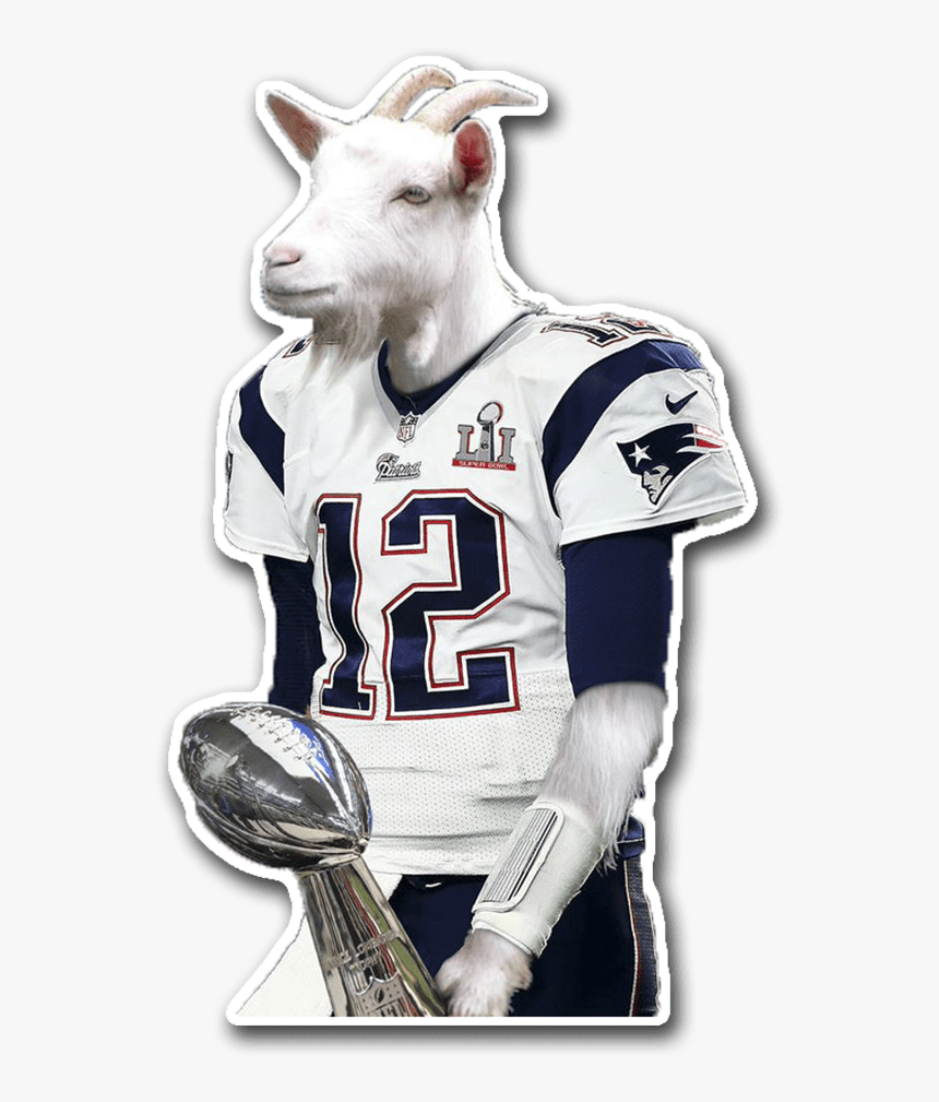 Tom Brady Goat Wallpaper