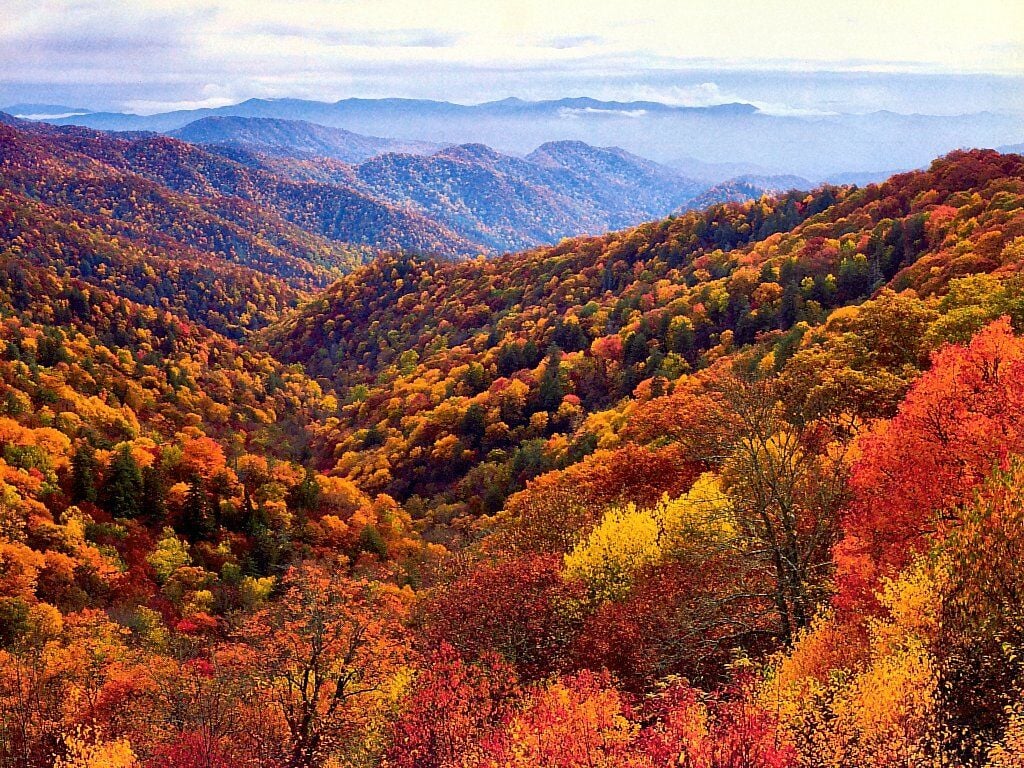 Great Smoky Mountains North Carolina   nature wallpaper featuring 1024x768