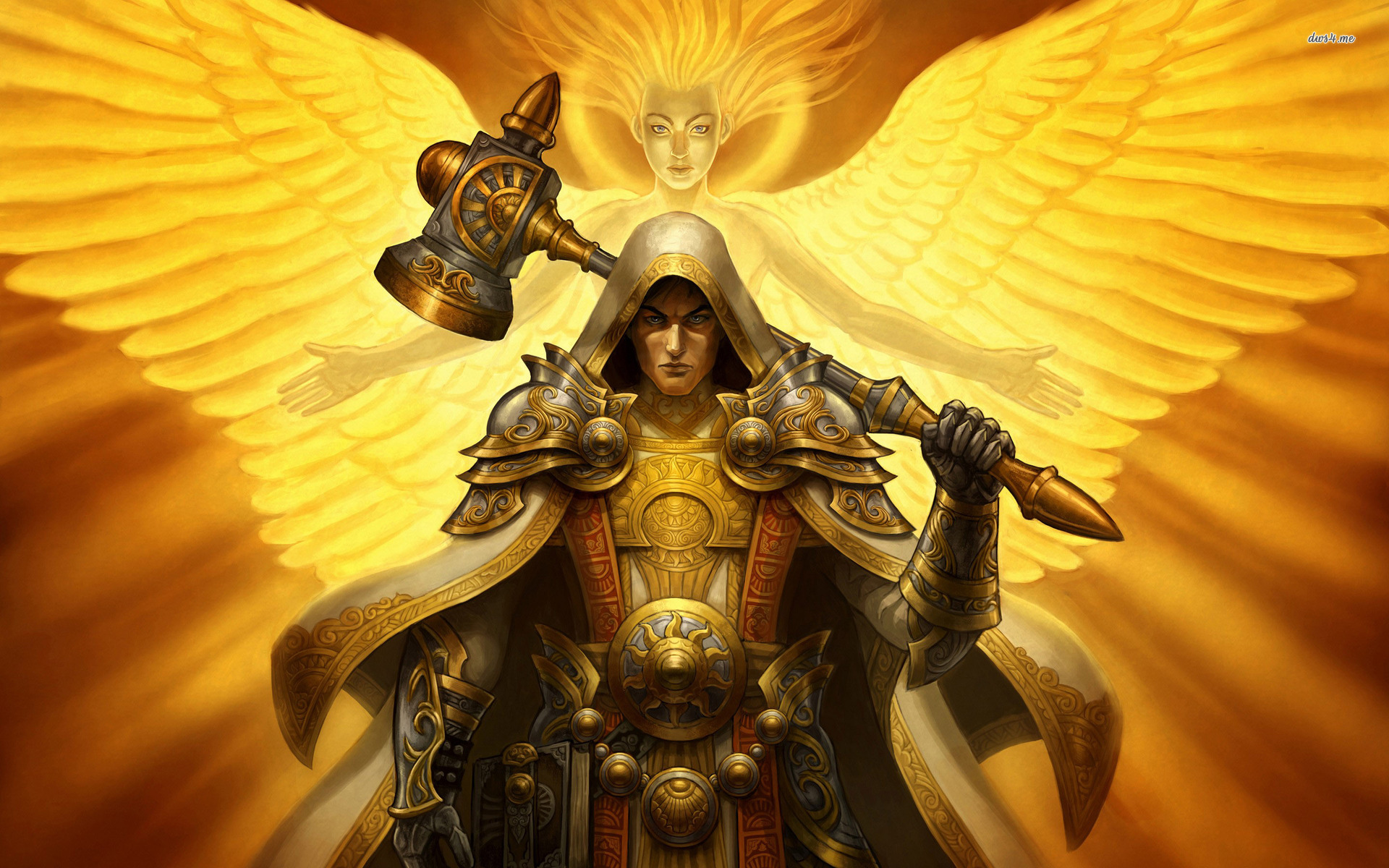 Paladin Wallpaper Submited Image