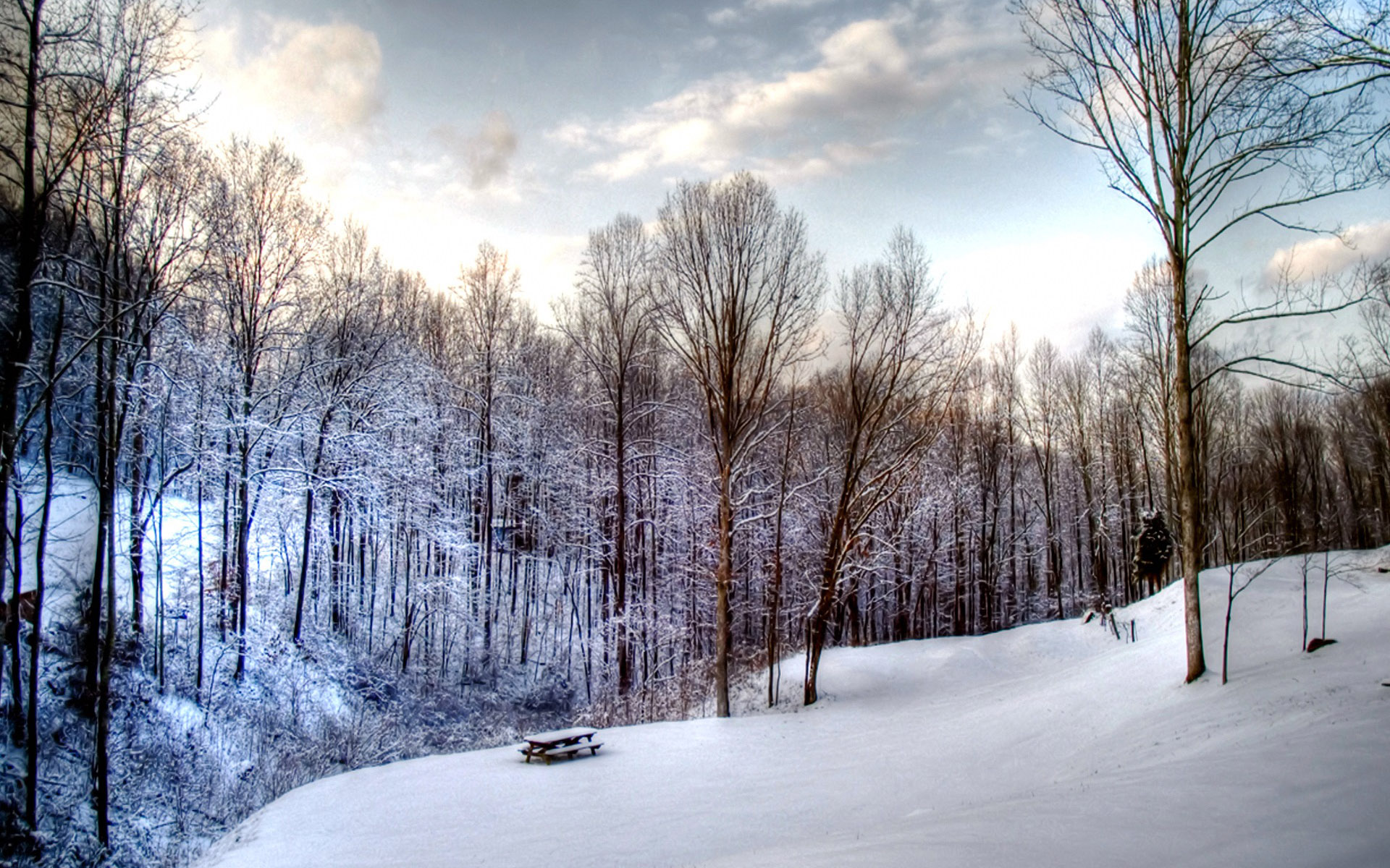 Widescreen Winter Snow Scenes Dreamy Wallpaper