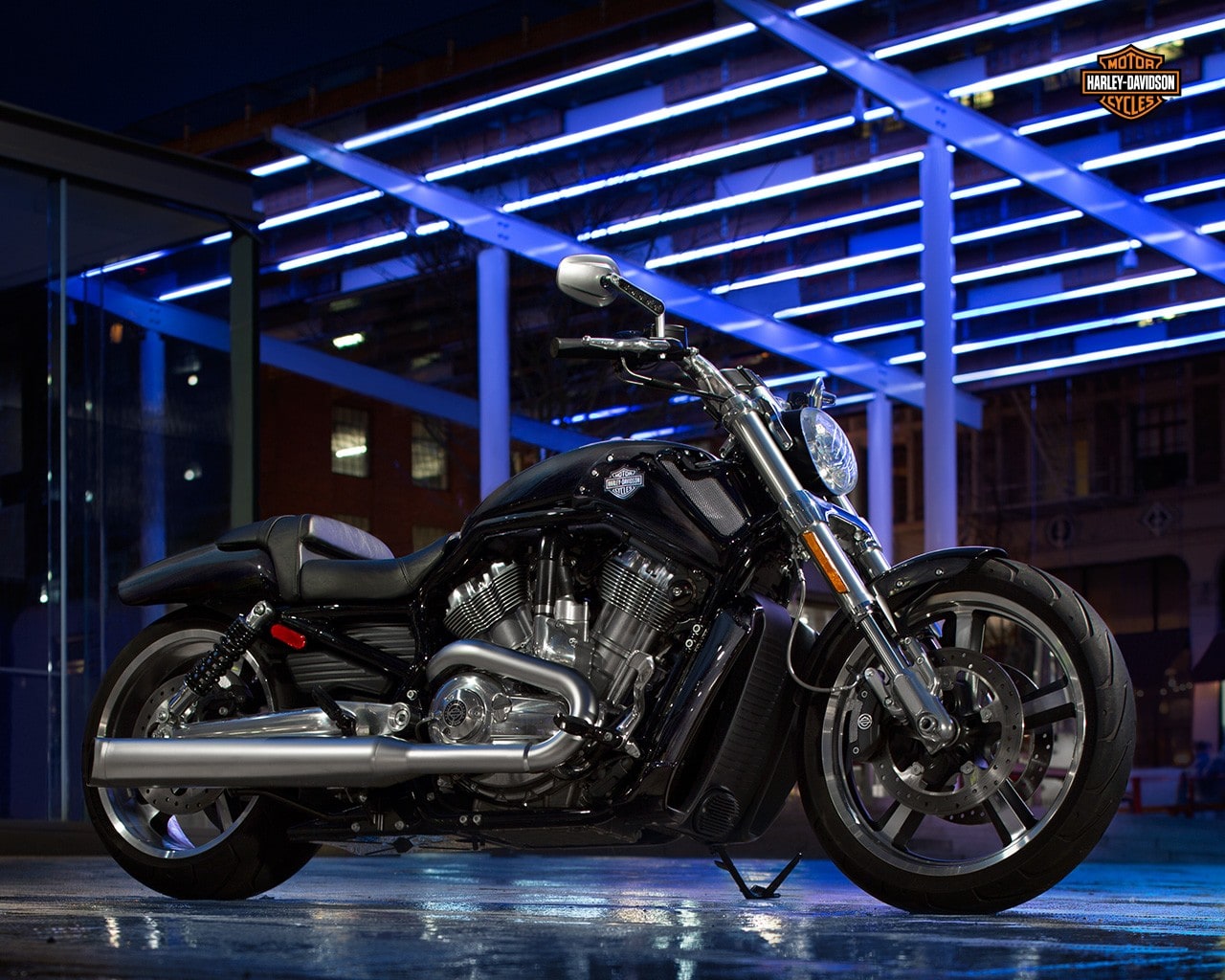V Rod Muscle Harley Davidson Usa
