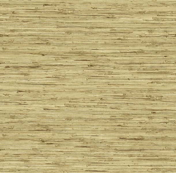 🔥 Free download LIGHT TEXTURED REED WALLPAPER [611x600] for your