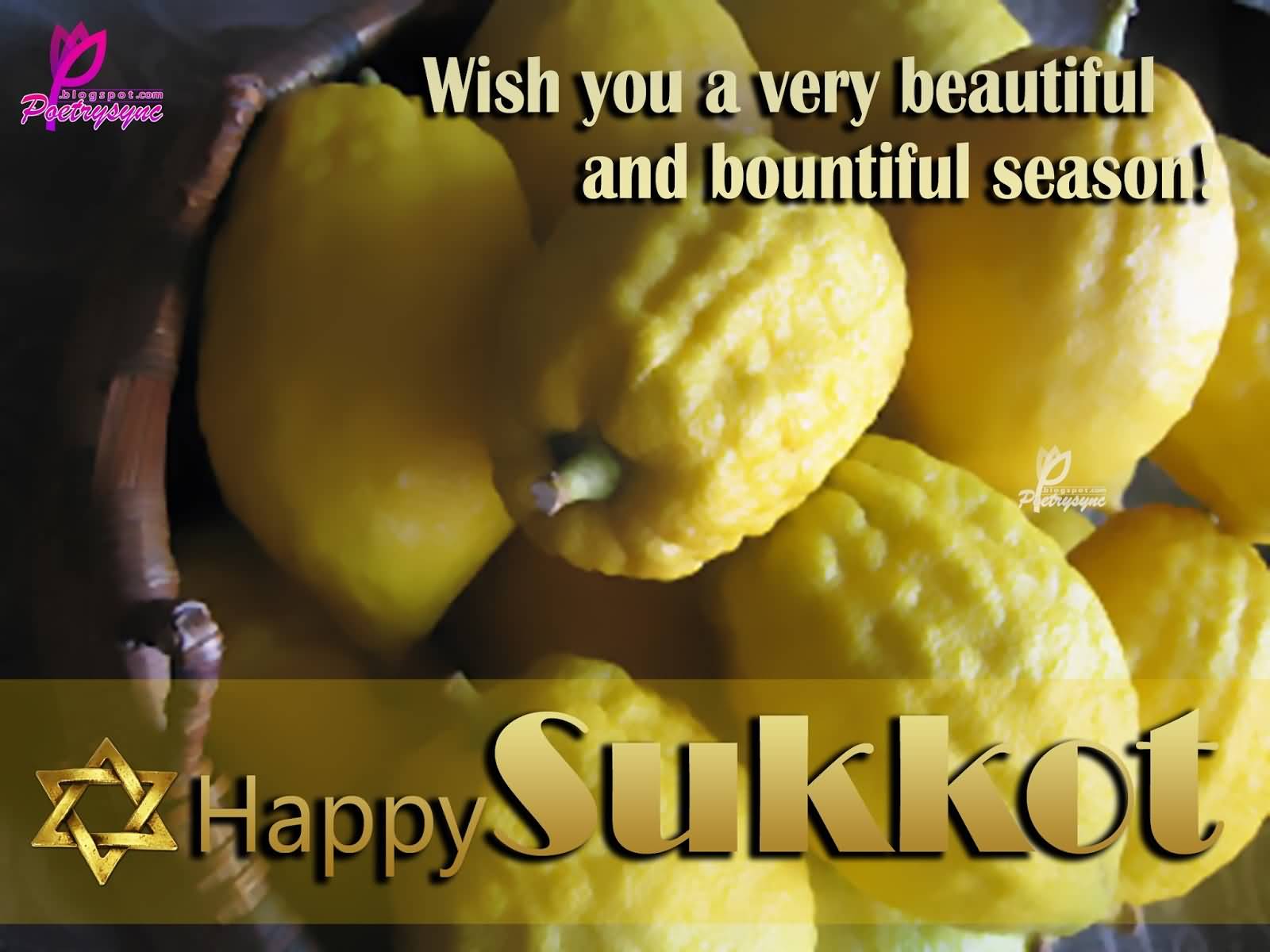 Best Pictures And Image Of Happy Sukkot Greetings