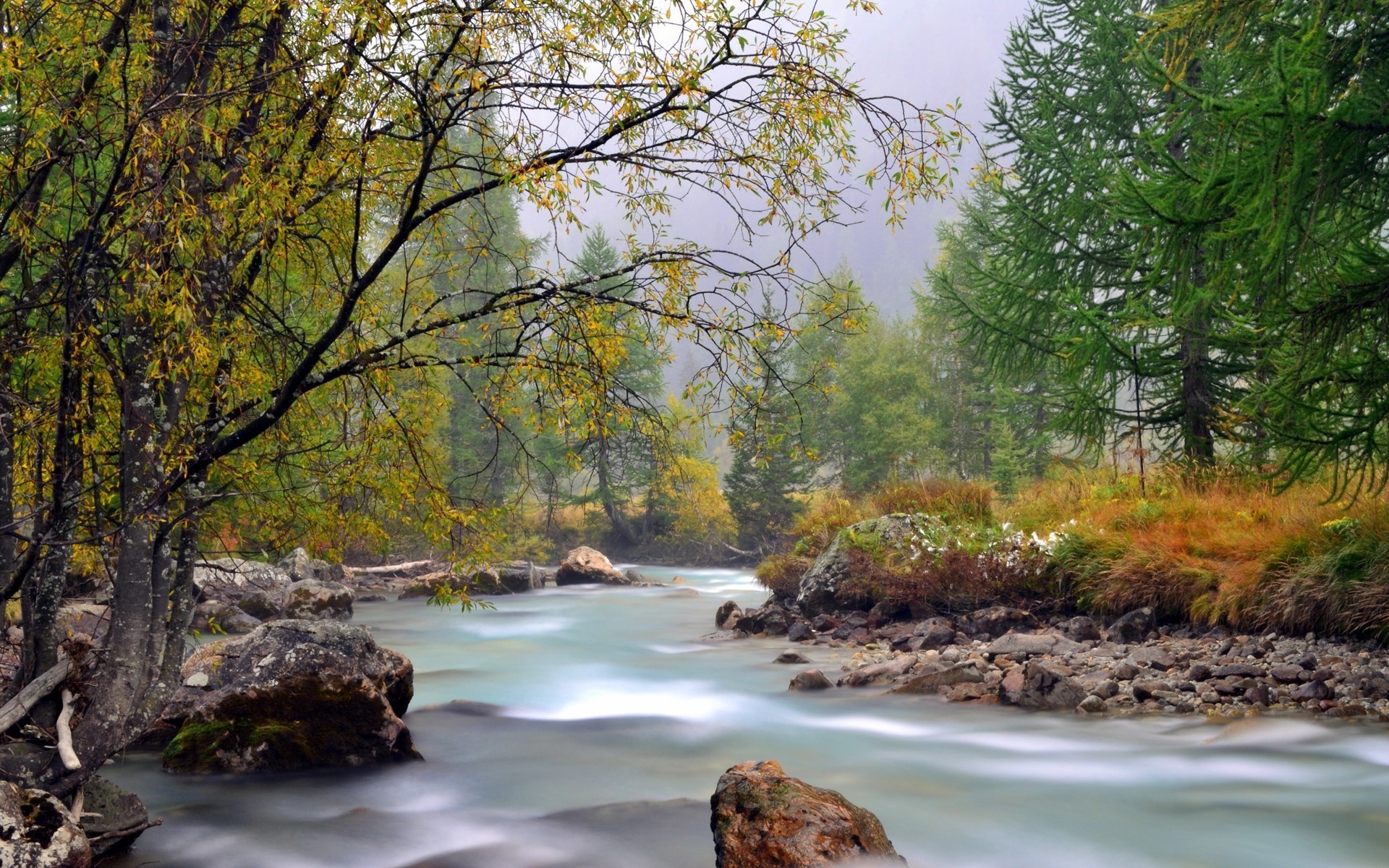Early Fall Desktop Wallpaper