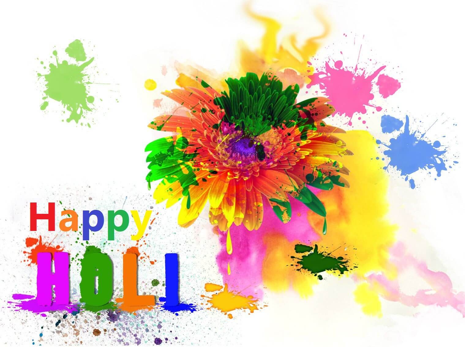 Happy Holi HD Wallpaper Desktop