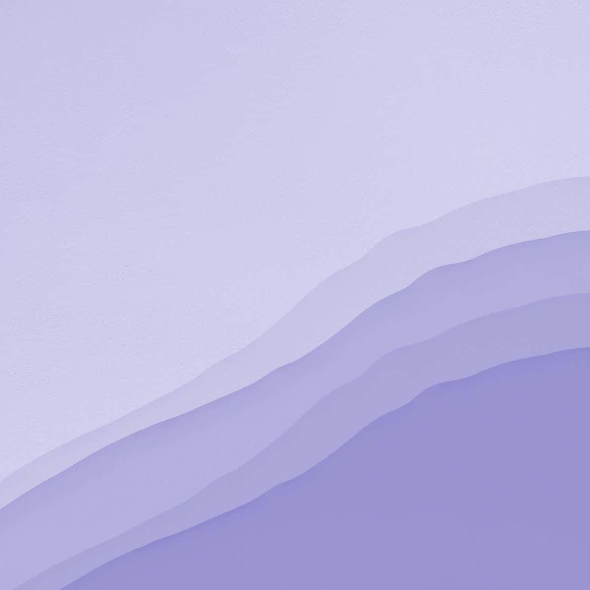Lilac Color Wallpaper