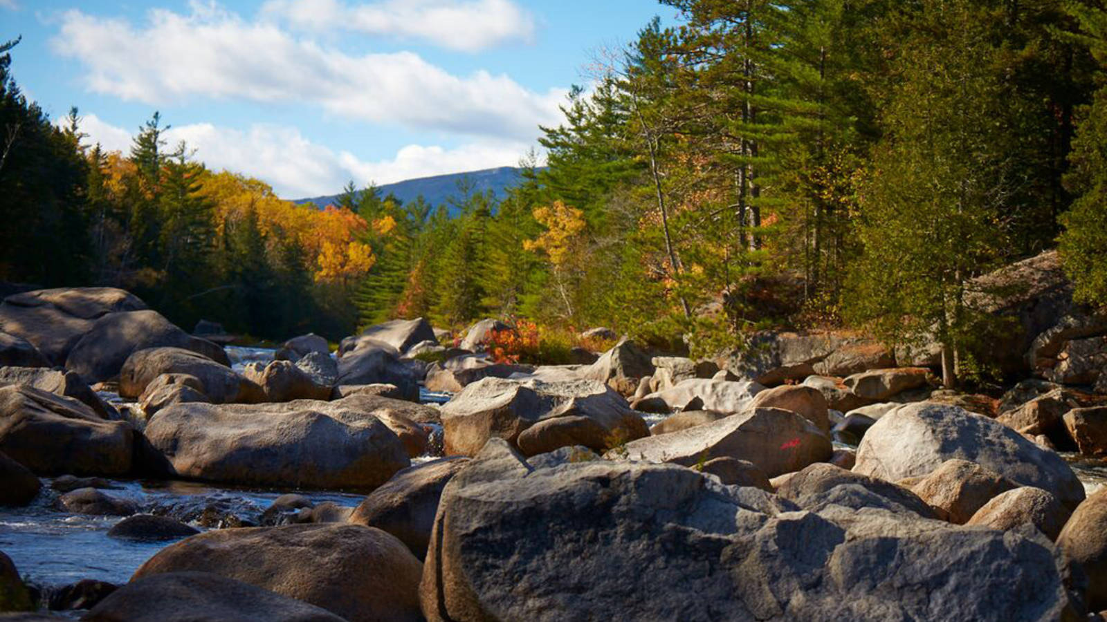 New National Park Site Preserves Maine S Vast Beauty