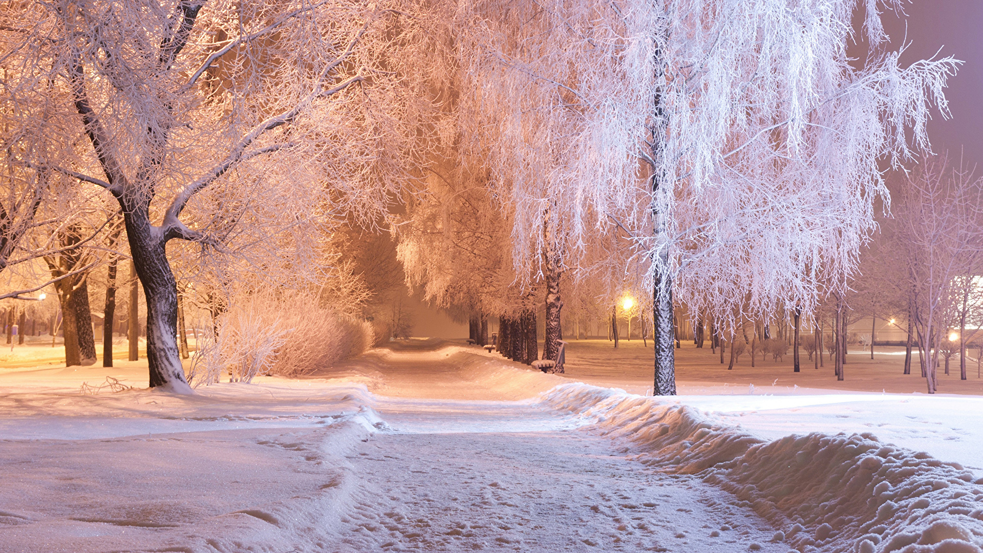 Winter Night Desktop Wallpaper