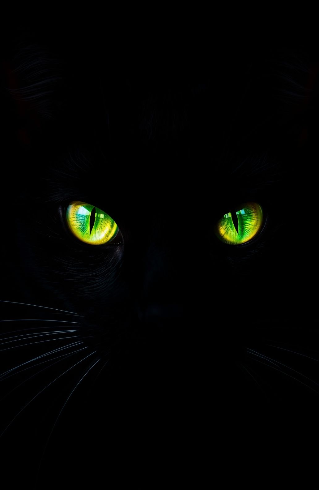 Black Cat Eyes Wallpaper