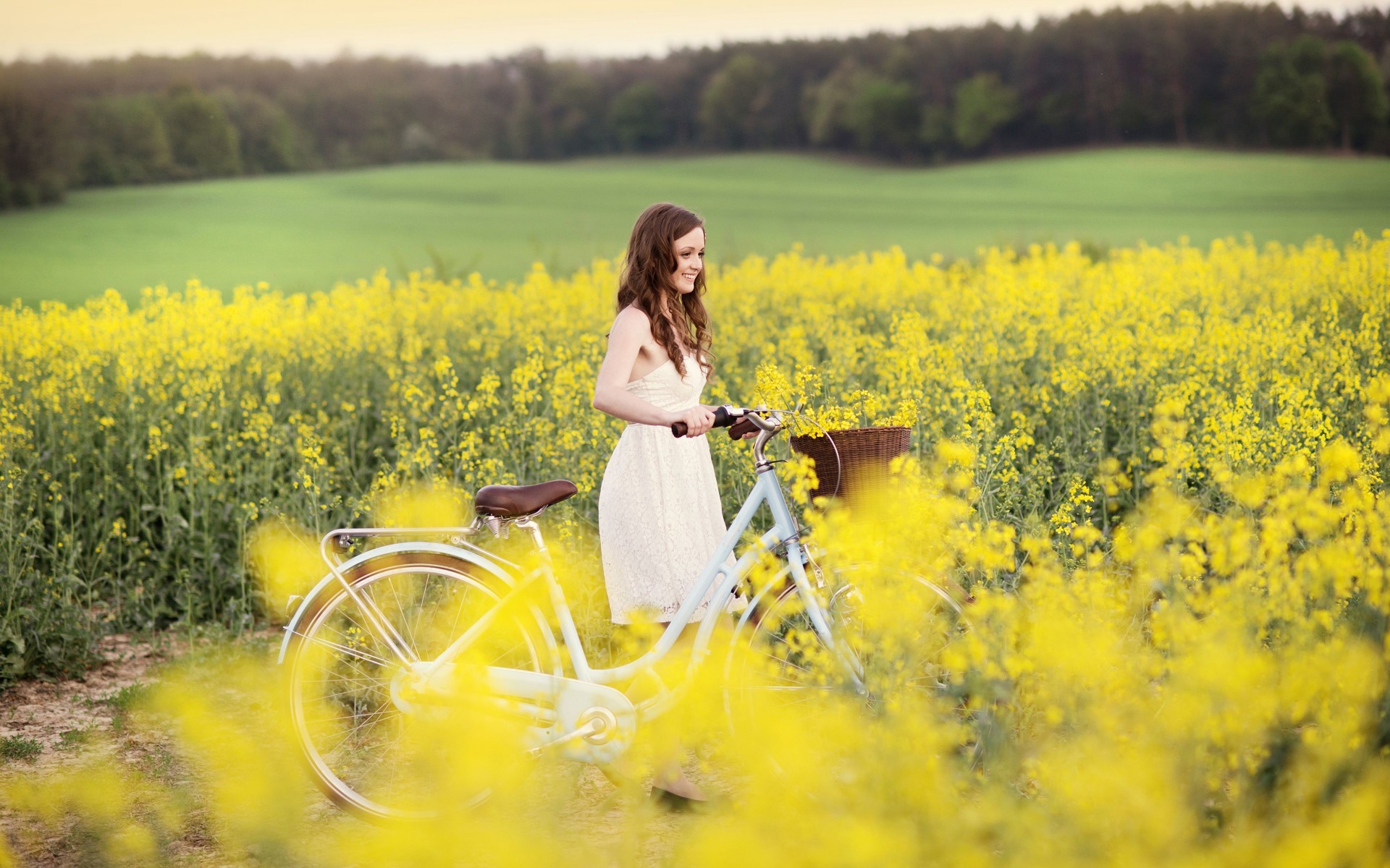 Wallpaper Flowers Field Summer Bicycle Girl With