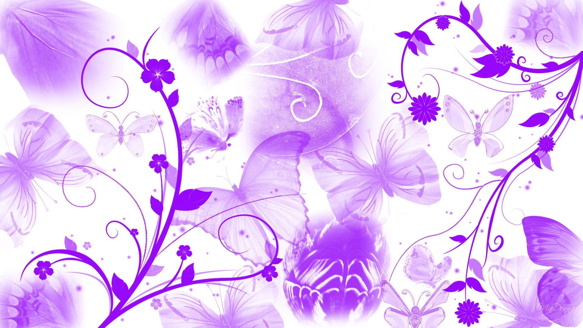 Purple Butterfly Wallpaper HD