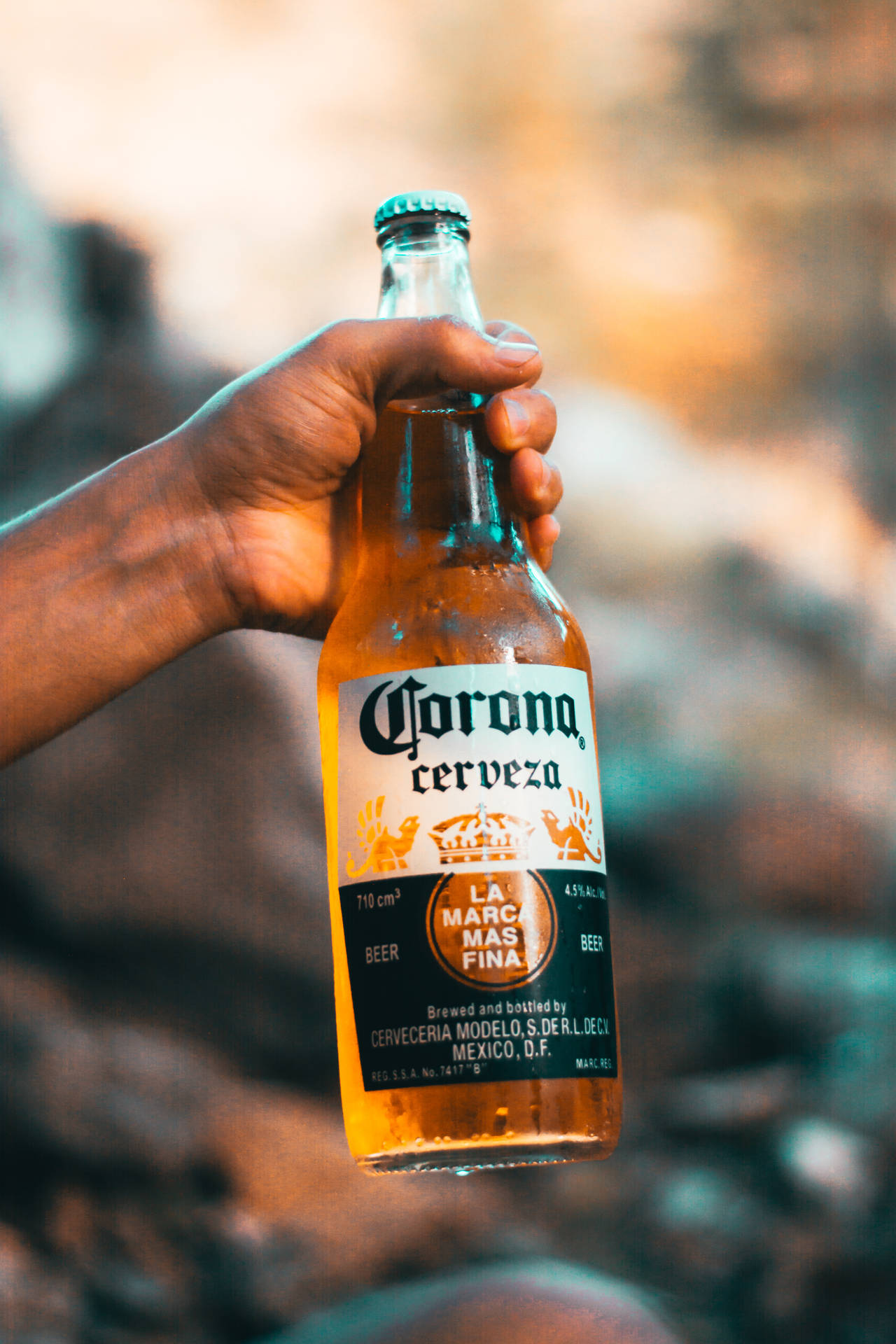 Beer Bottle Corona Litter Wallpaper