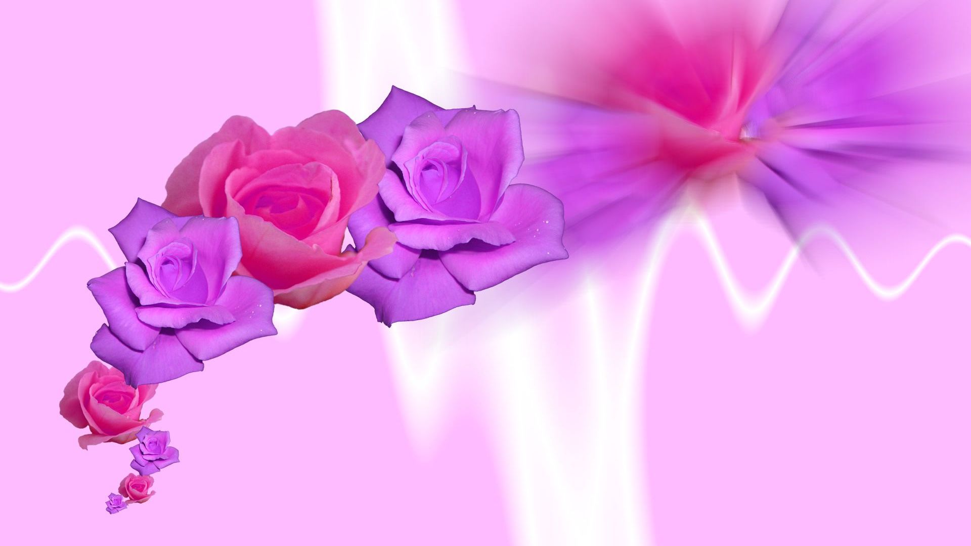 Free download BeautyFul Flowers purple rose wallpapers [2118x1606] for