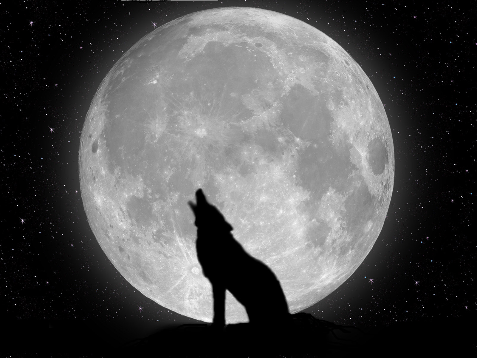 Black Wolf Moon
