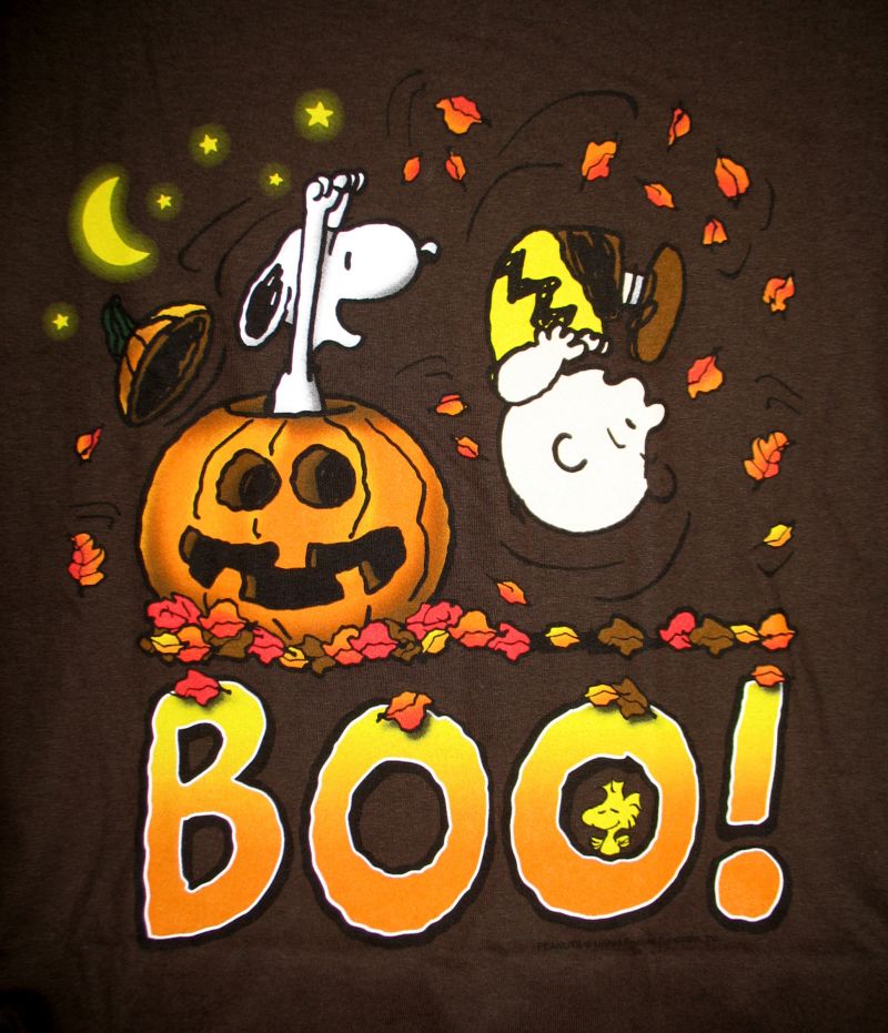 Charlie Brown Halloween Wallpaper Have A Wonderful