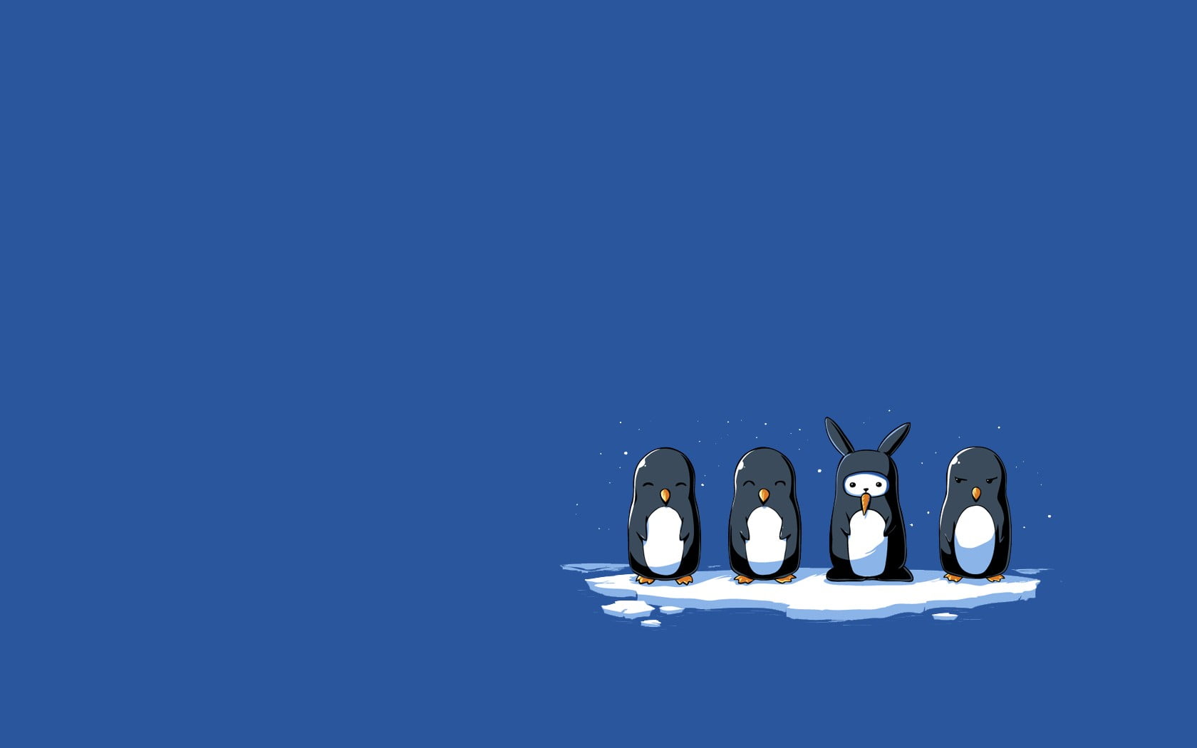 Four Black Penguins Simple Minimalism Rabbits HD
