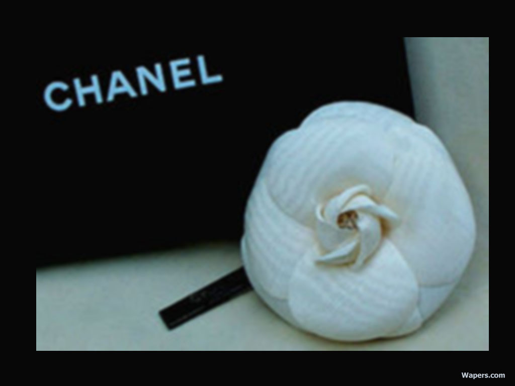 Chanel Wallpaper High Definition HD