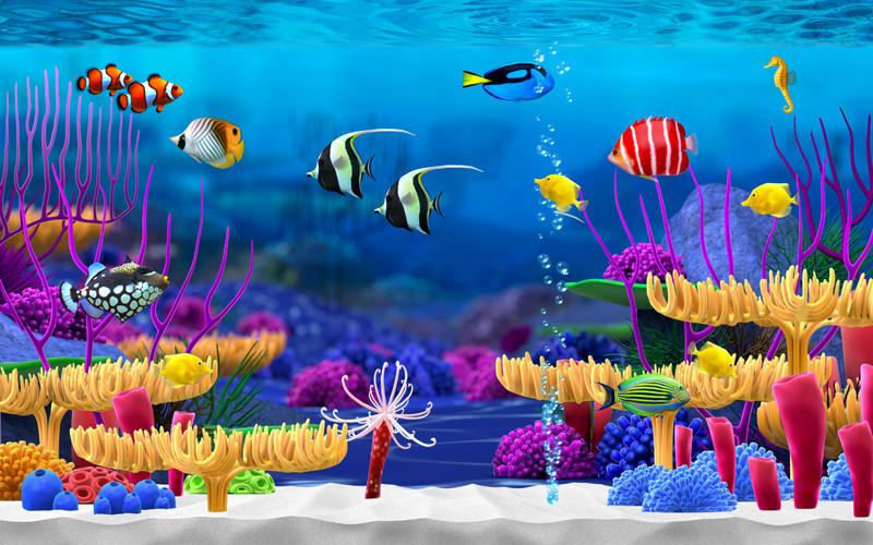 App Shopper Aquarium Screensaver Entertainment