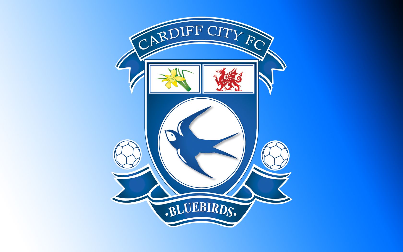 Cardiff City Fc Logo Wallpaper HD