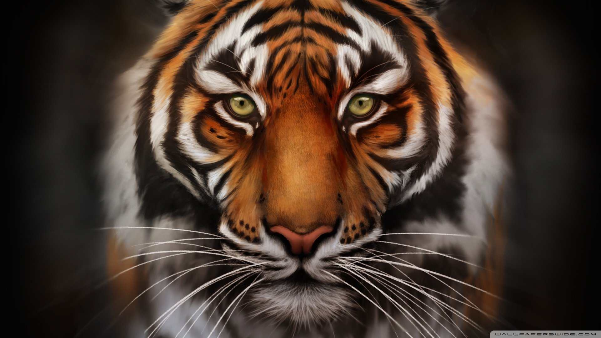 Save the tiger wallpaper 1920x1080 wallpaper 1920x1080 238461 1920x1080