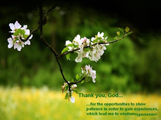 Thank You God Wallpaper Pictures 13gallery
