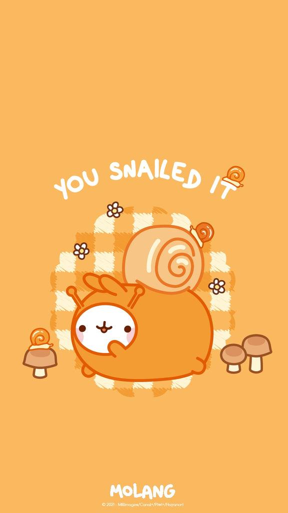 Molang Animal Wallpaper Discover The Snail Of