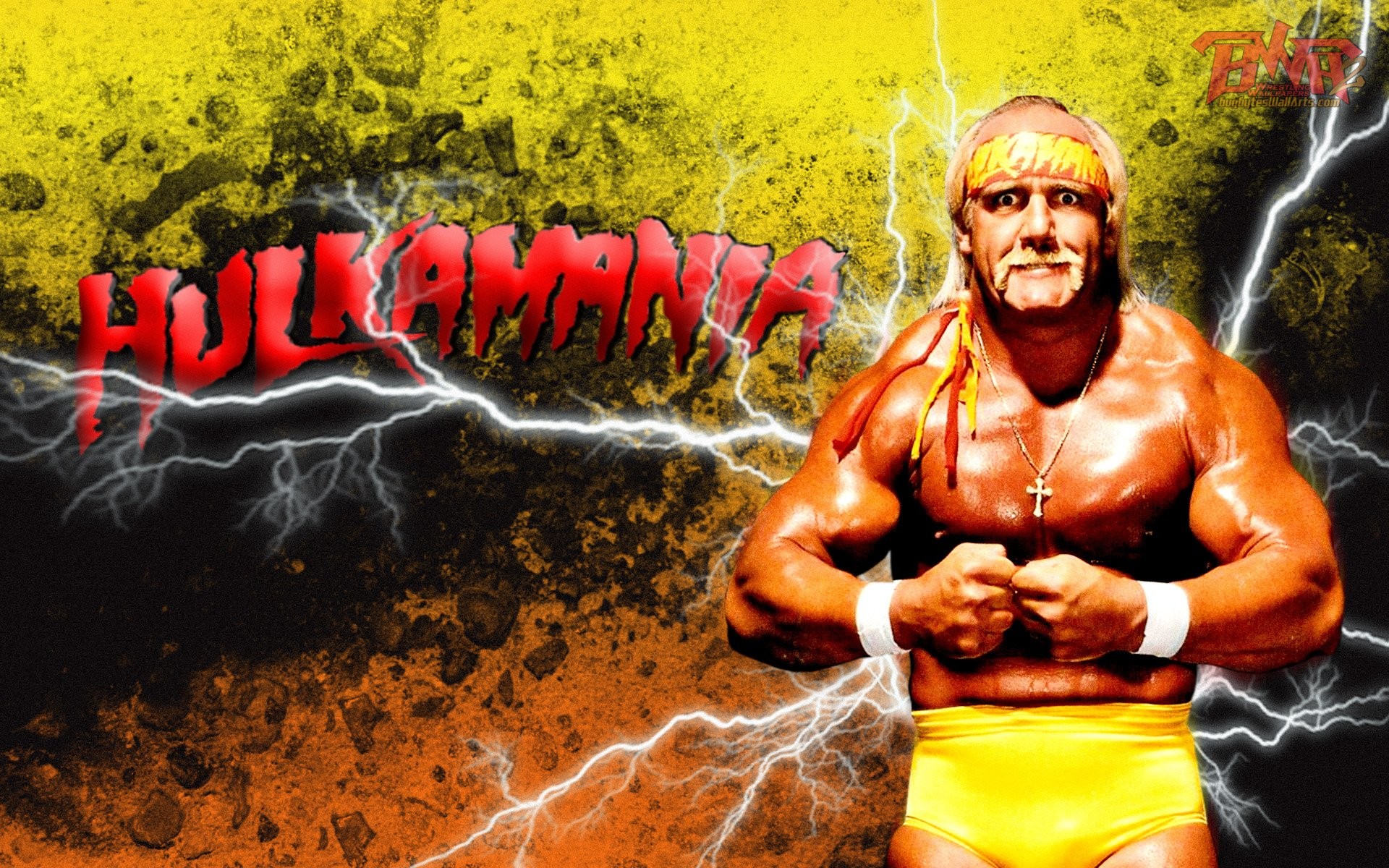 Hulk Hogan Wallpaper Image