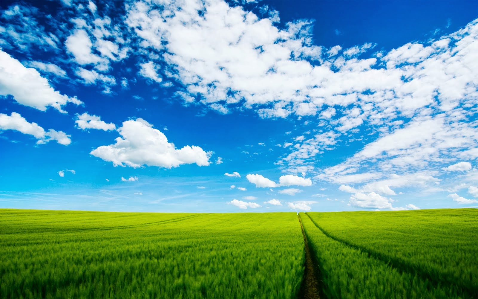 Free Download Wallpapers Zone Beautiful Blue Sky Wallpapers 1600x1000 
