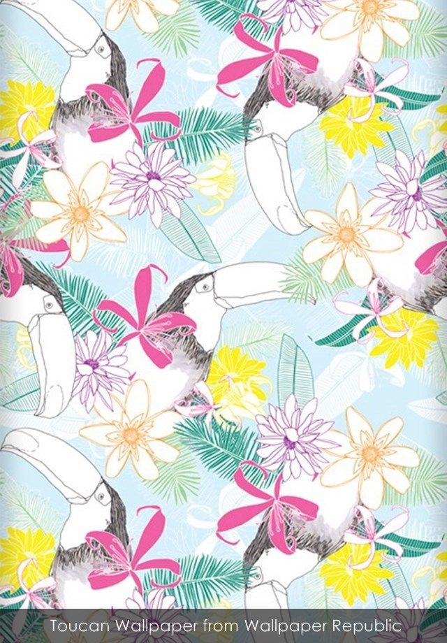 Toucan Wallpaper From Republic Rio