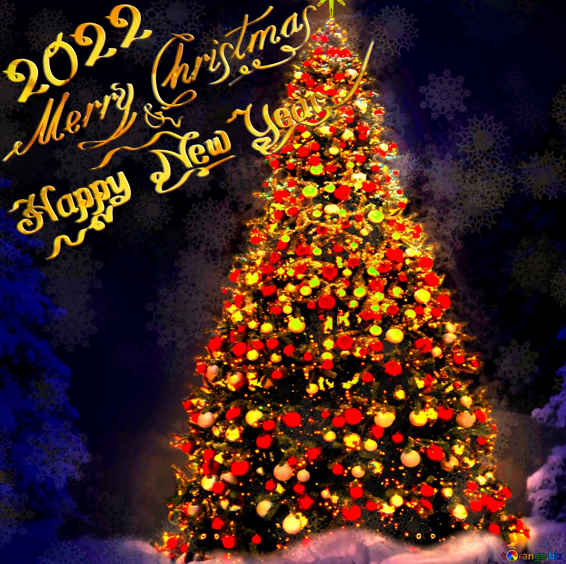 Download picture 2022 Merry Christmas on CC BY License 1920x1914
