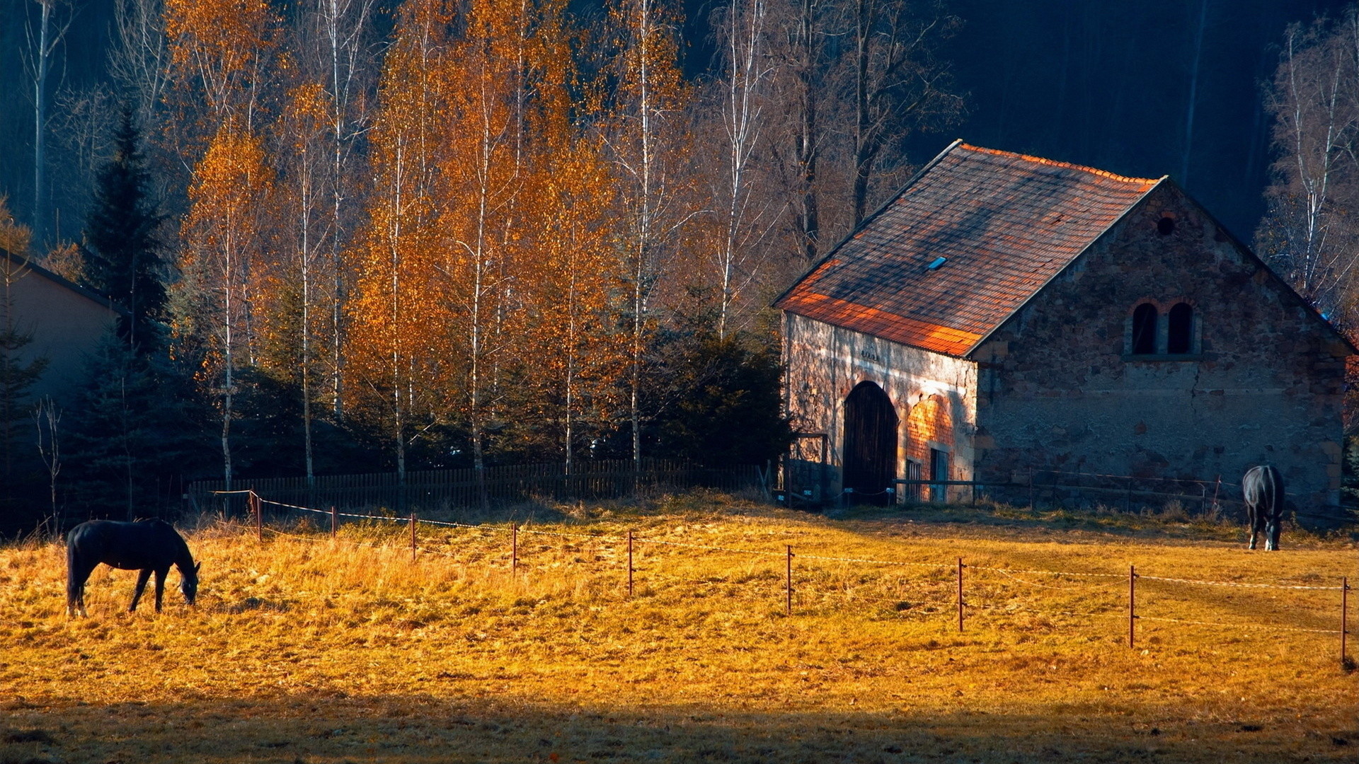 Rustic Wallpaper
