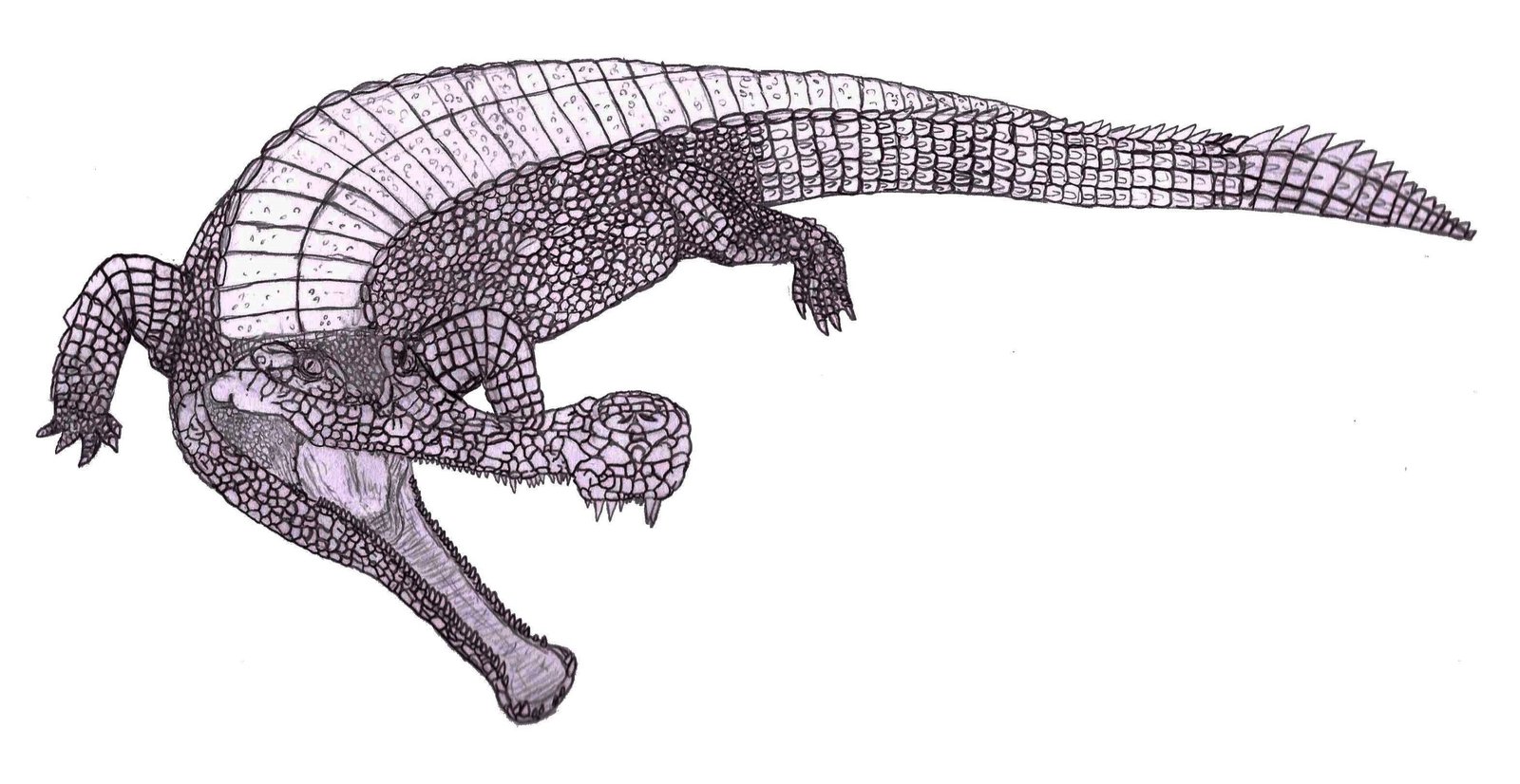 Sarcosuchus By Megabass22