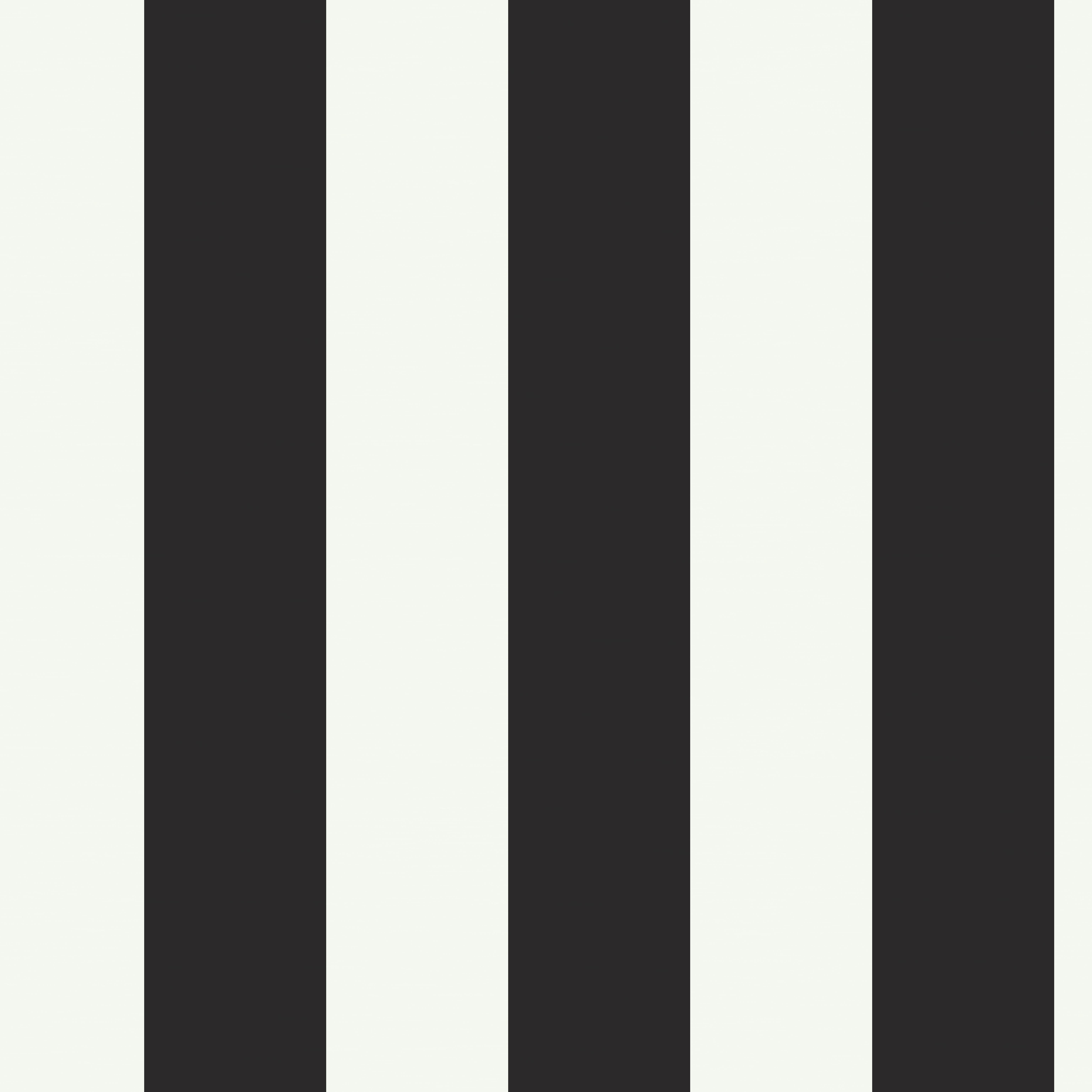 colors that go with black and white stripes