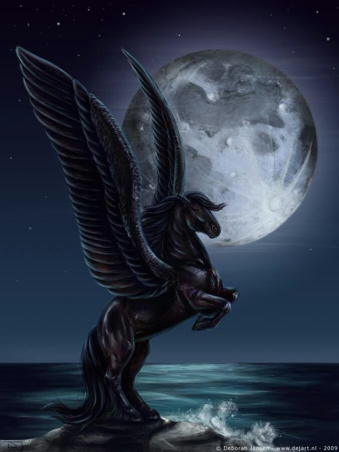 Black Pegasus Horses Fantasy