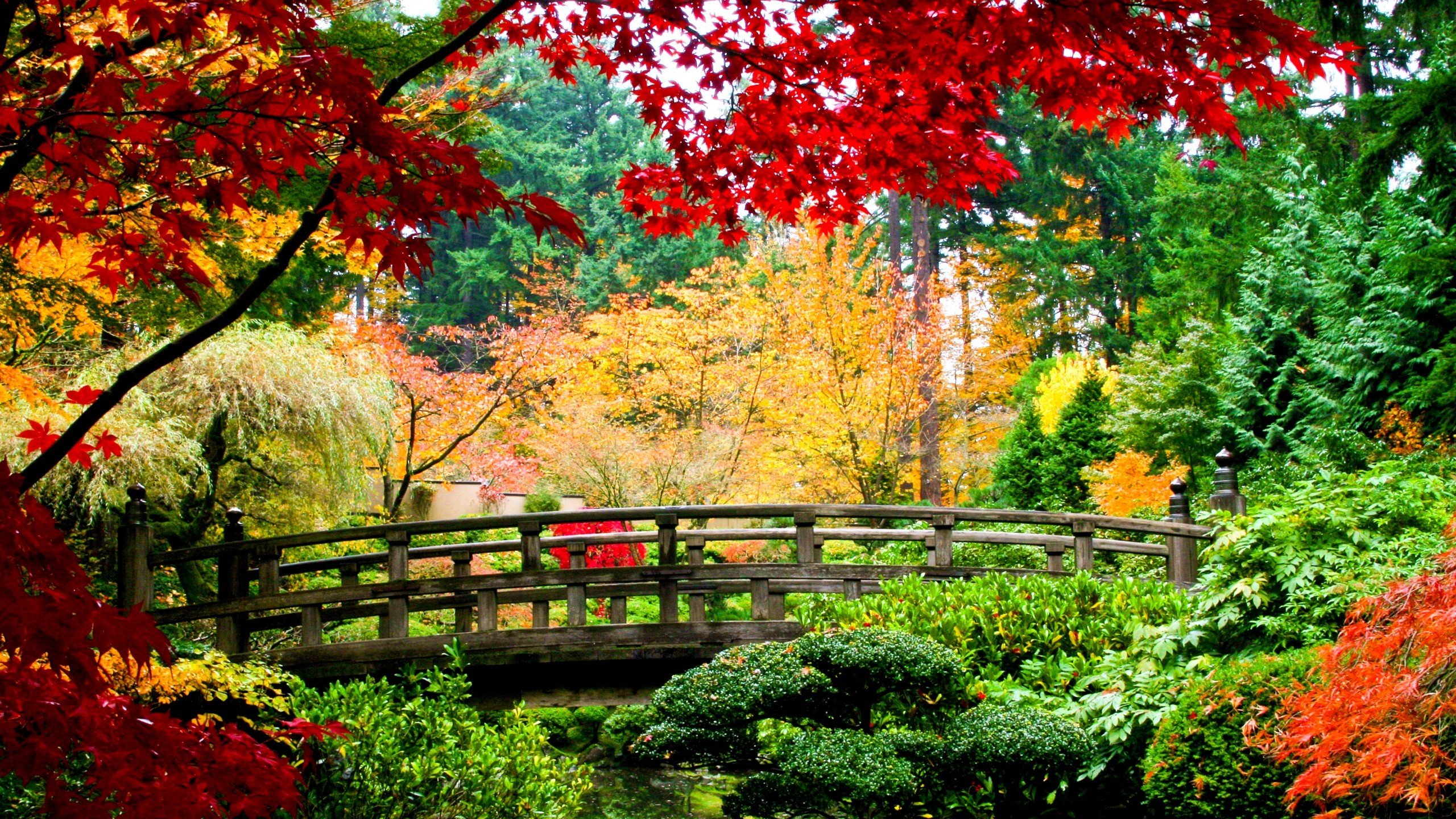 Top Wallpaper Full HD Nature
