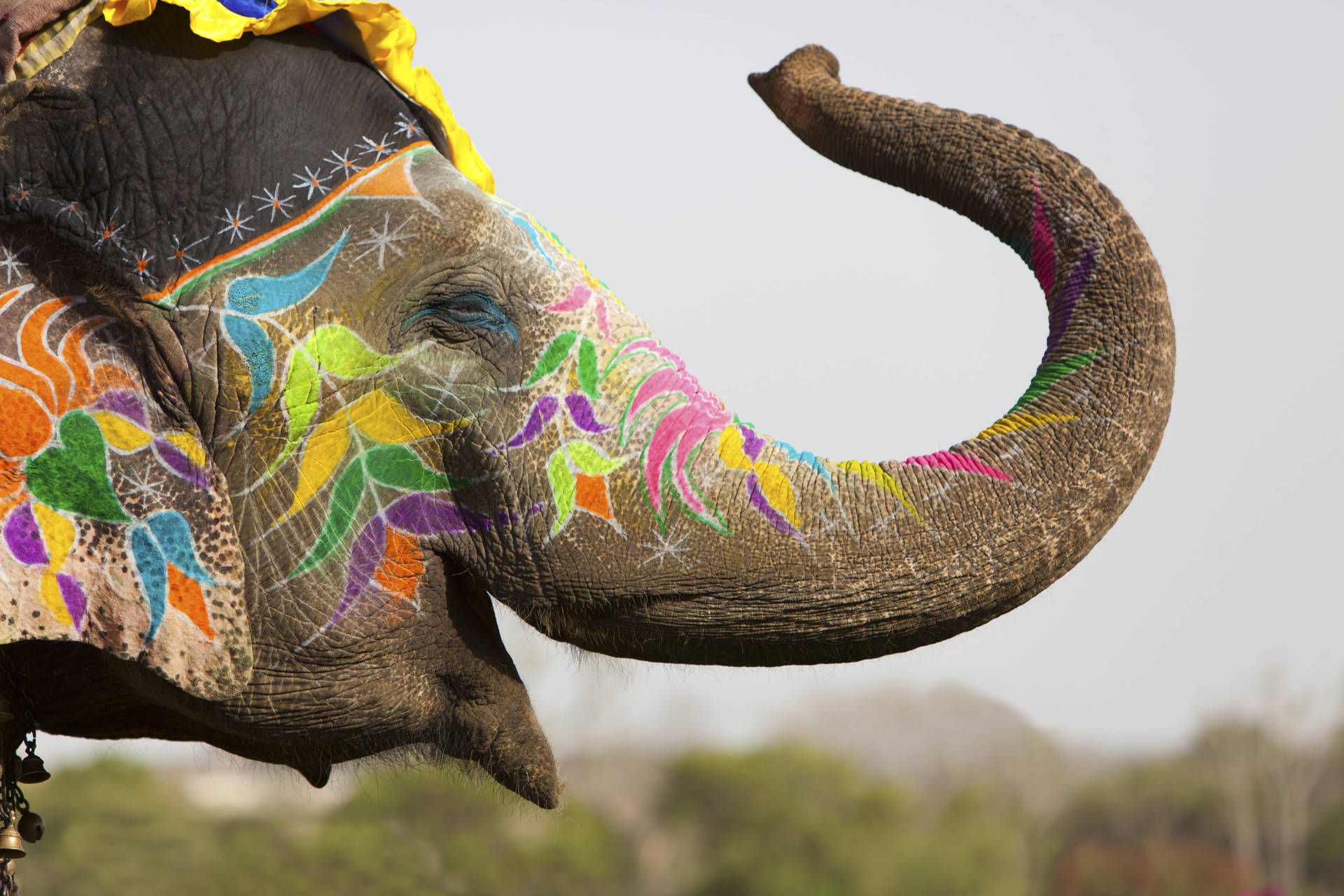 Happy Holi HD Wallpaper
