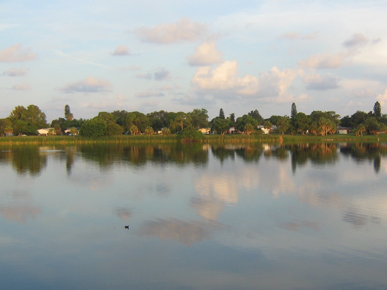 Lake Wallpaper