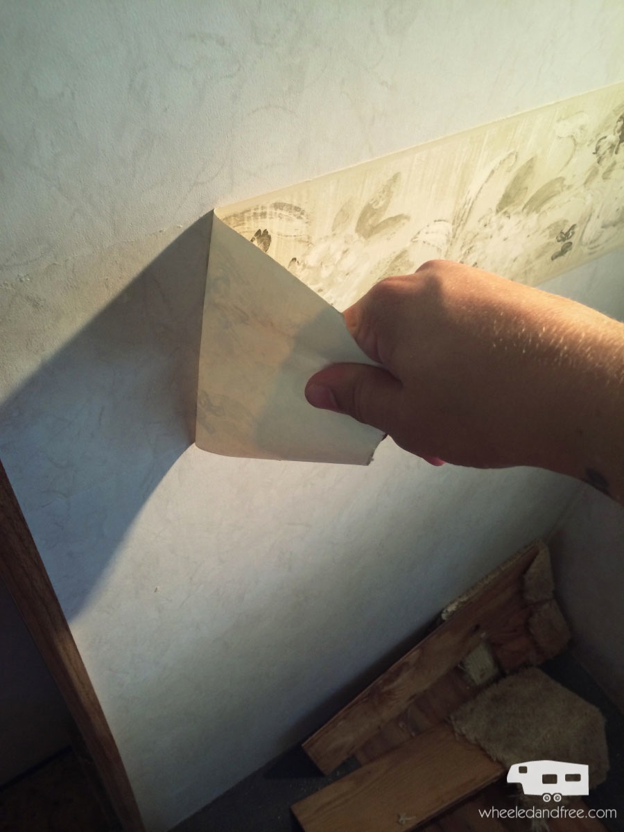 🔥 [50+] Taking Wallpaper Border Off WallpaperSafari