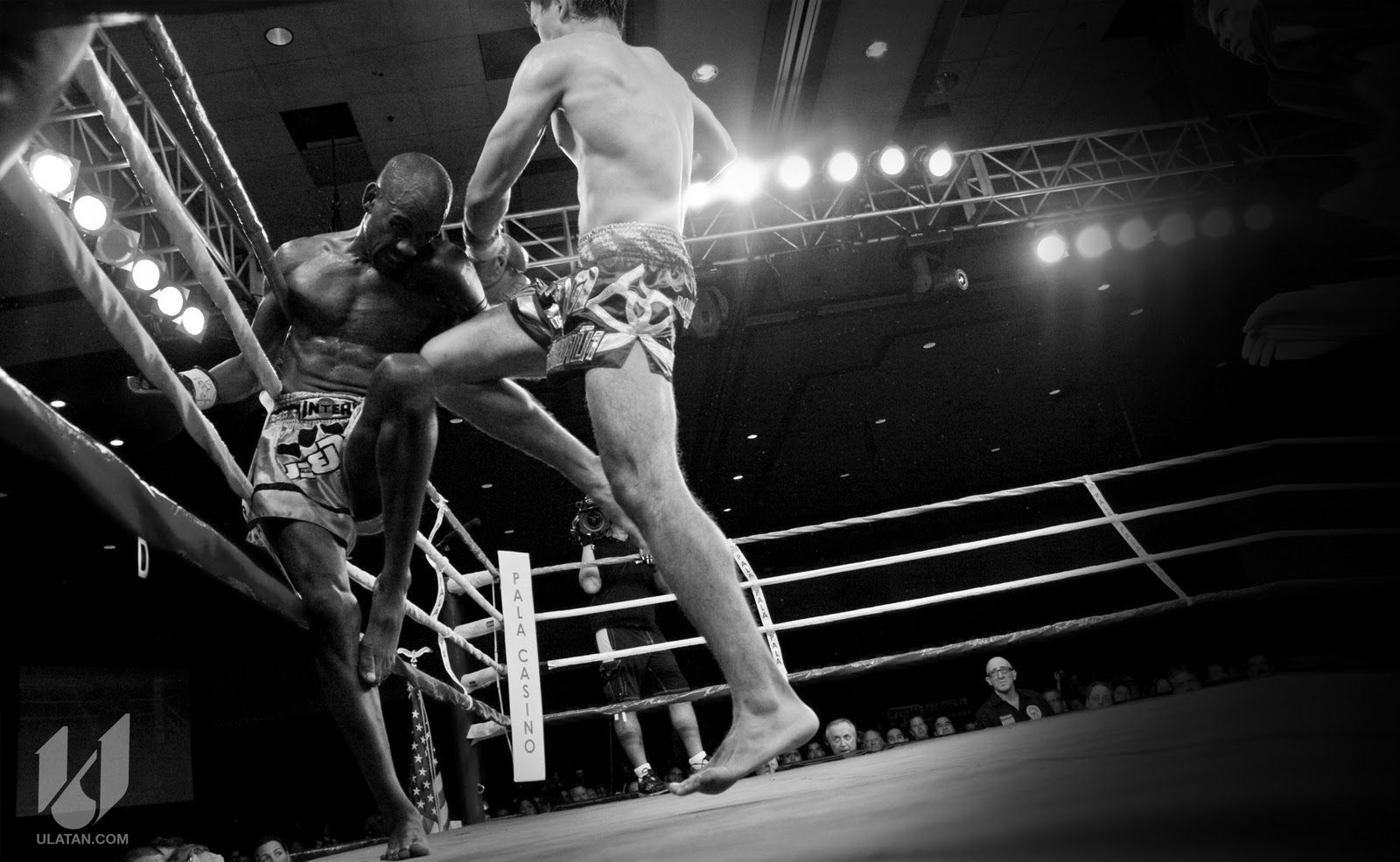 Muay Thai Boxing Wallpaper And Background Image