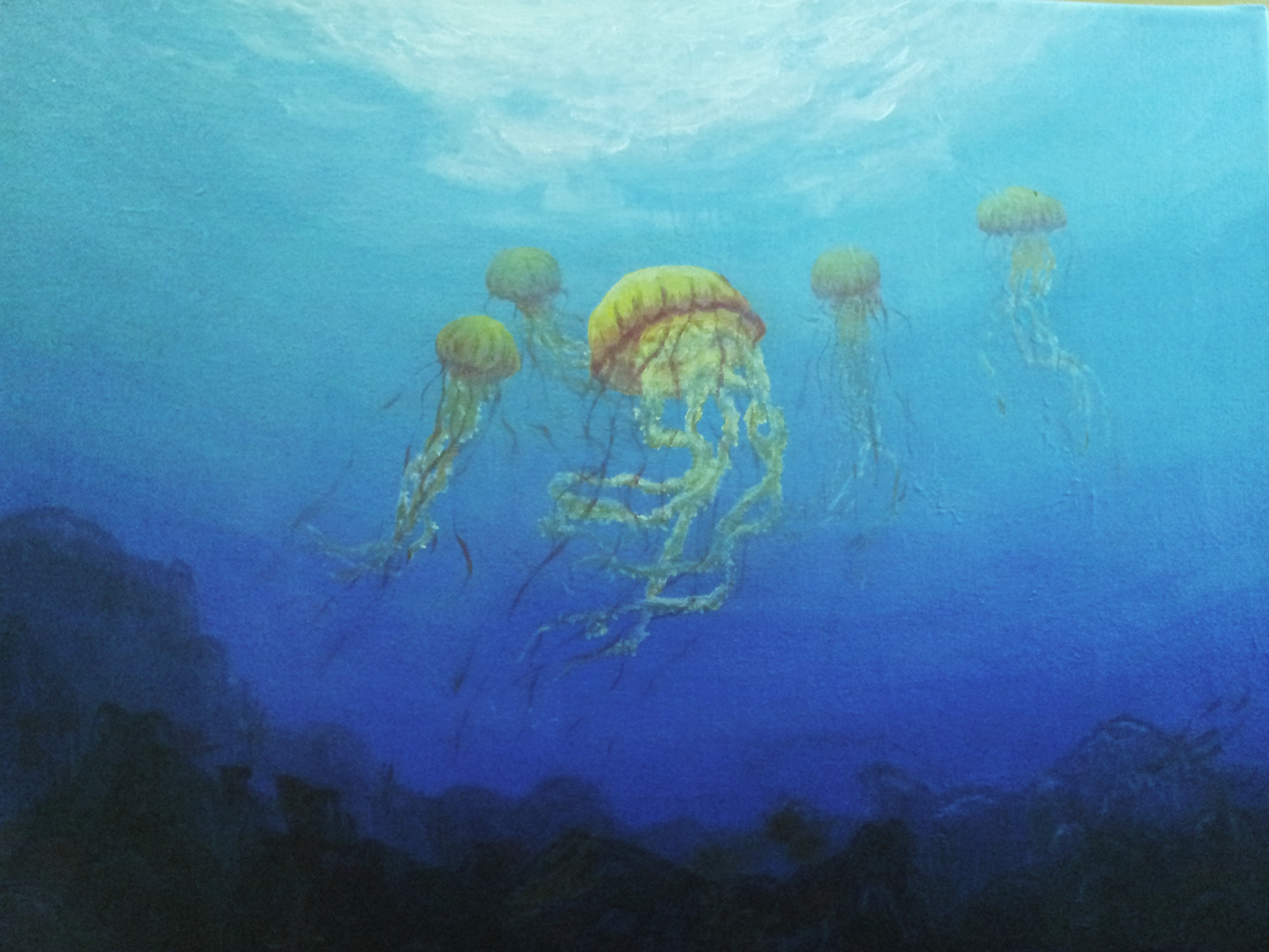 Jellyfish Ocean Image Imageexplore