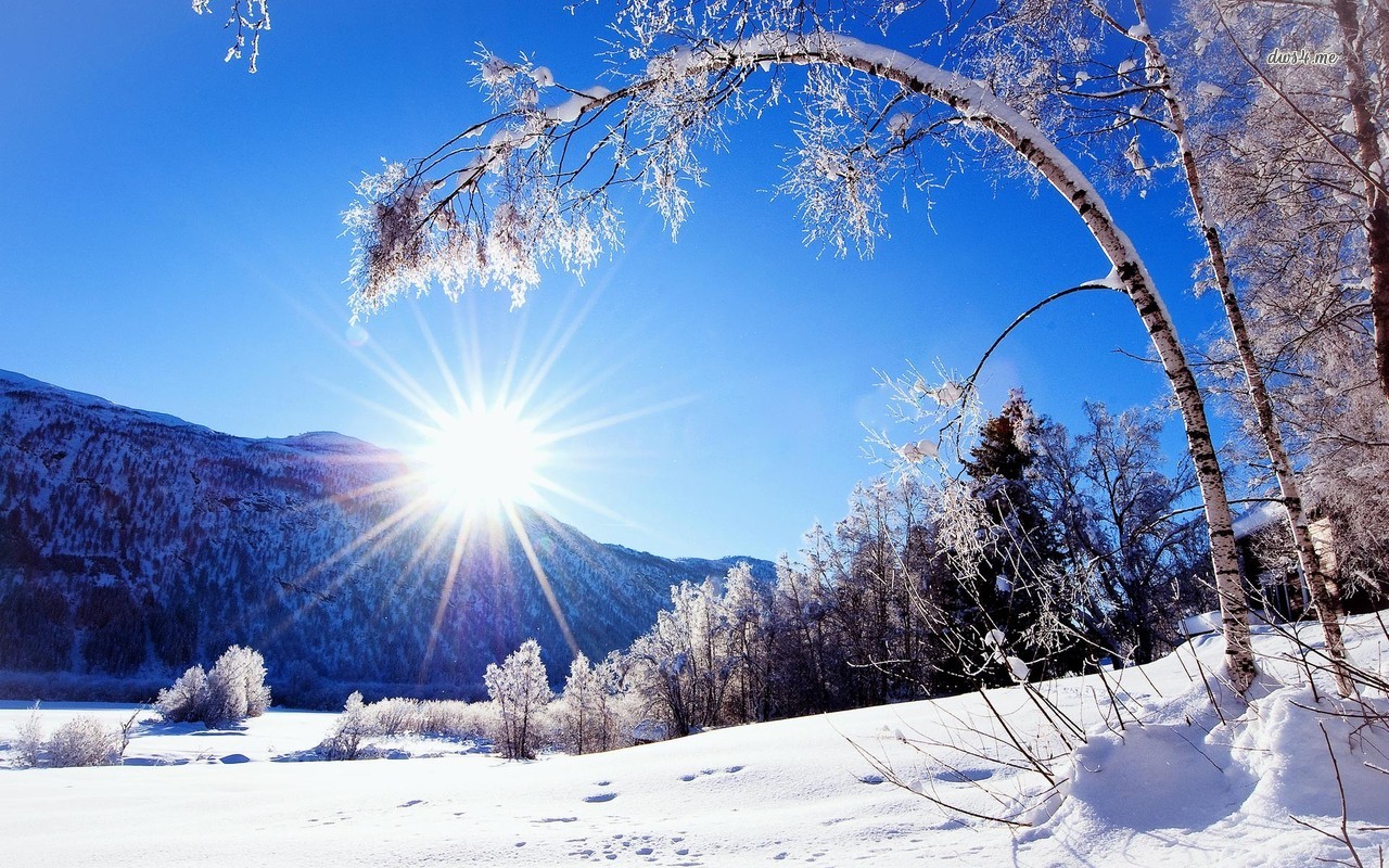 Sunlit Winter Landscape Wallpaper Nature