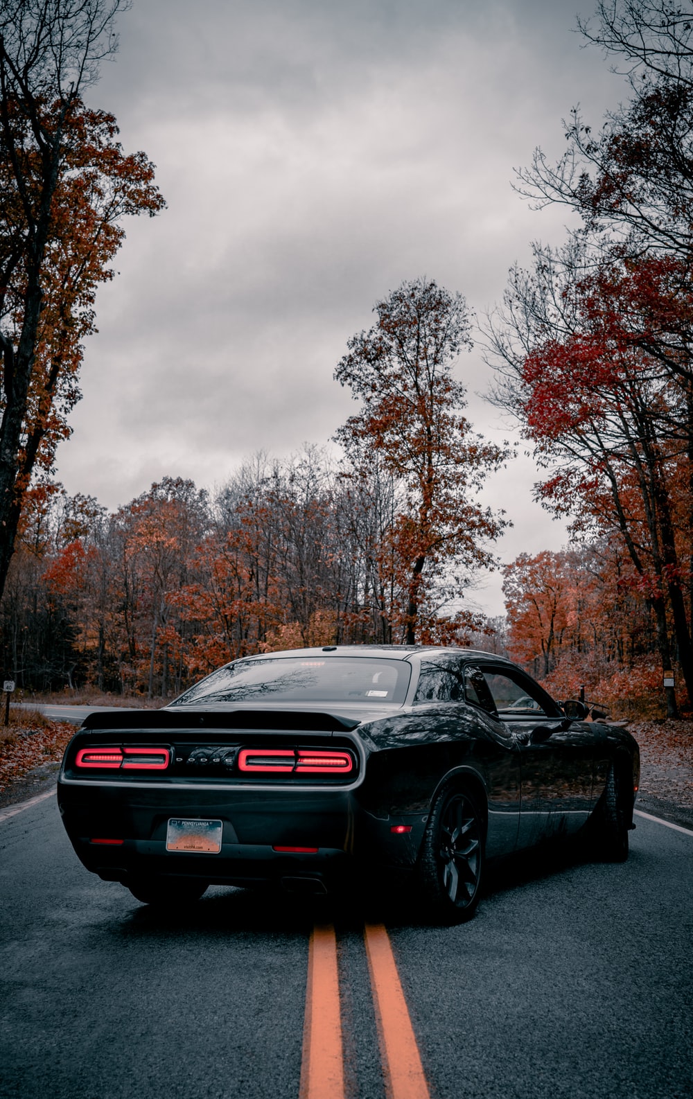 Download Dodge Challenger wallpapers for mobile phone free Dodge  Challenger HD pictures