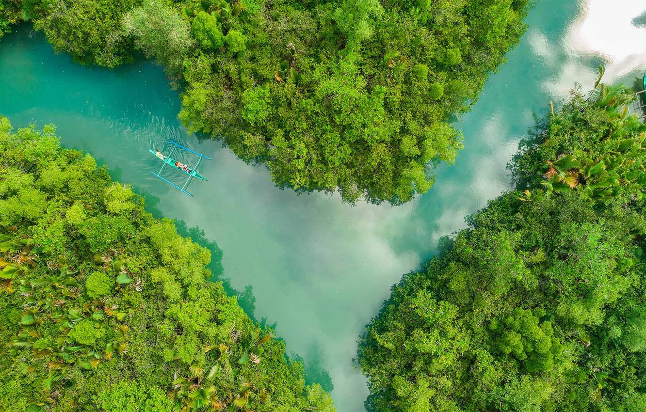 Wallpaper Forest Boat Philippines River Boho Cebu Image For