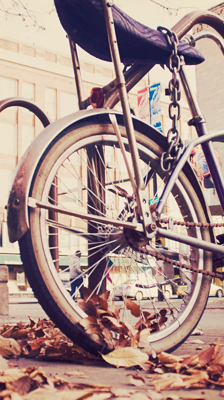 Vintage Hipster Bike Chained iPhone Wallpaper Ipod