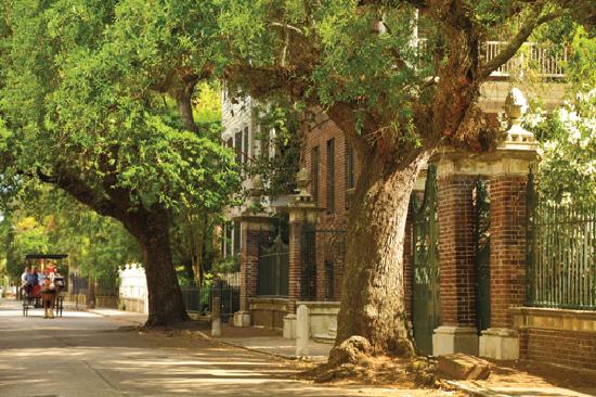 Charleston Sc Picture Of Coastal South Carolina