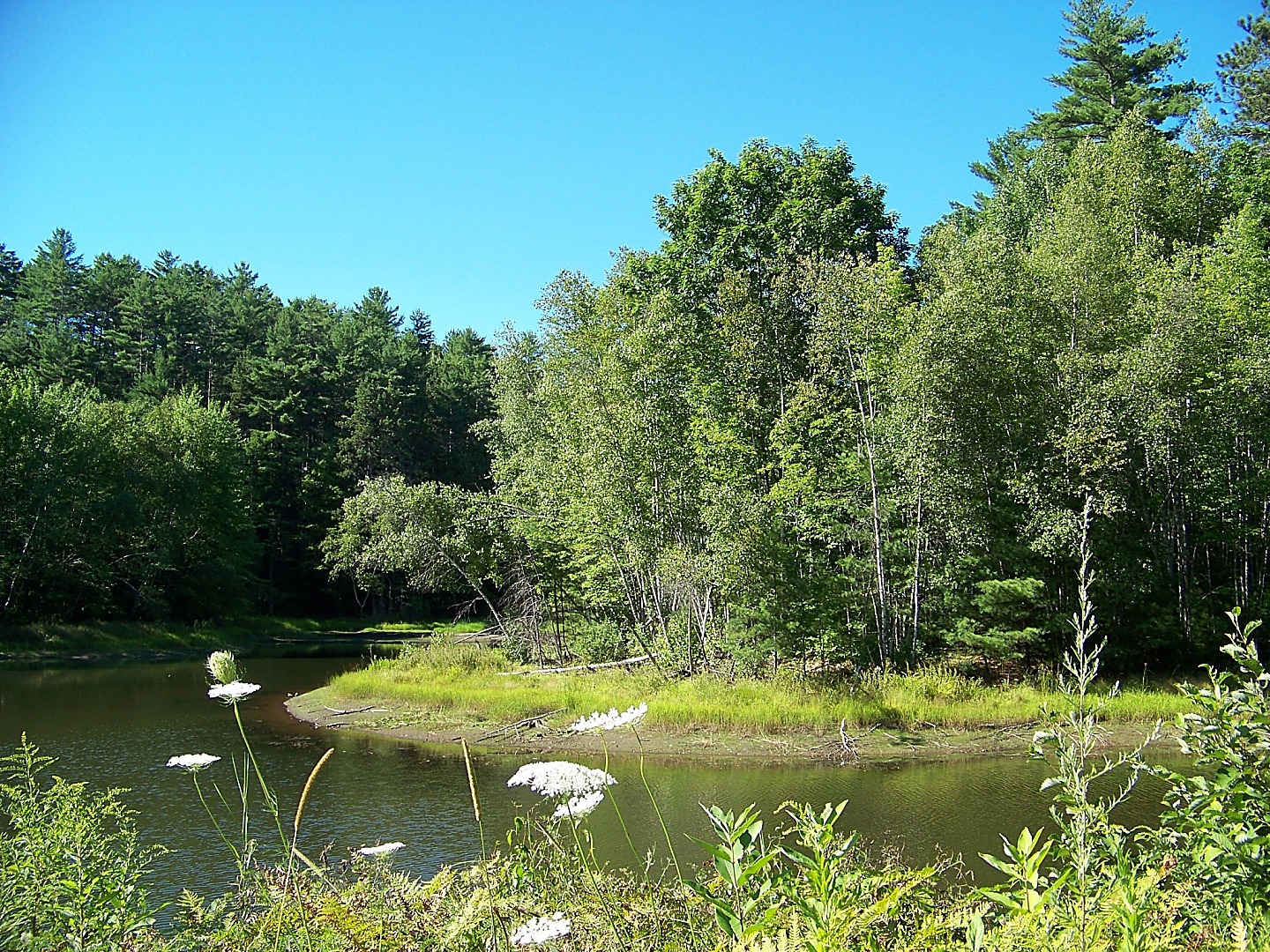 🔥 [47+] Maine Images Wallpapers | WallpaperSafari
