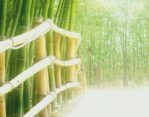 Wall Mural Bamboo Walk Wallpaper Art Decor Bridge Asia Forest